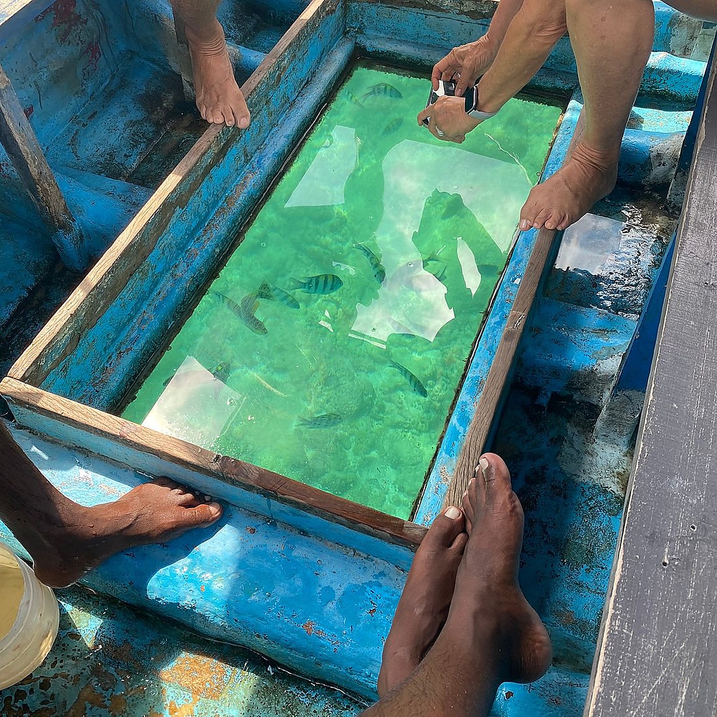 Glass-Bottom Boat & Coral Reef