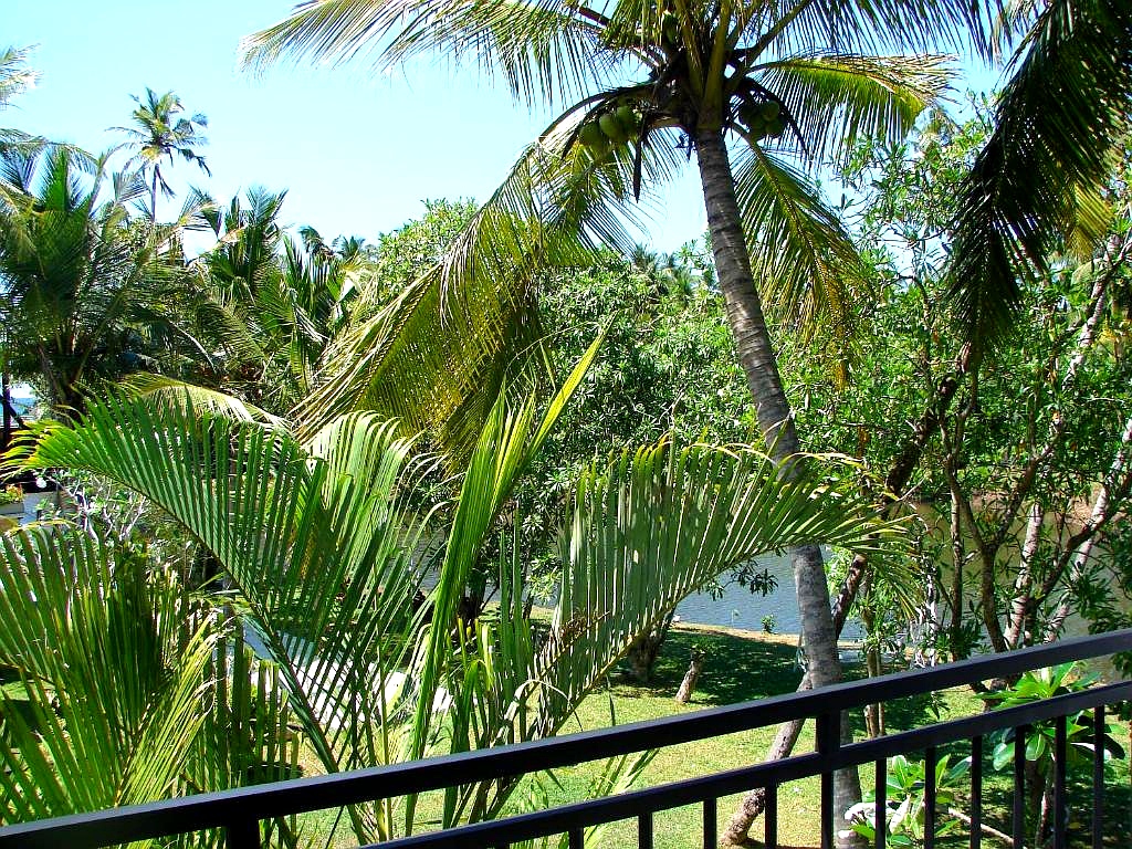 Villa Estuary Deluxe Room — balcony estuary view