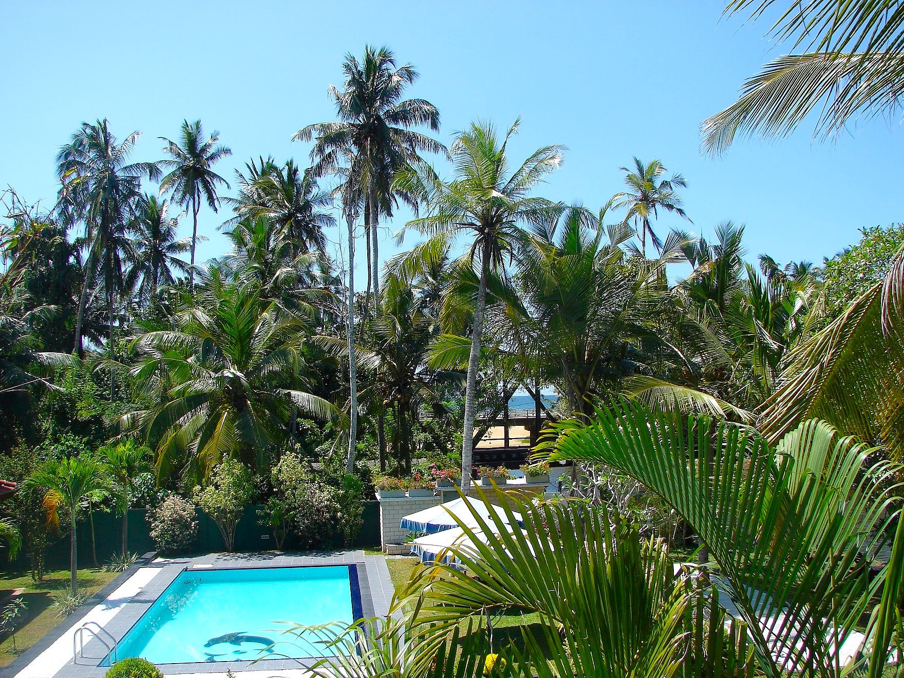 Villa Estuary pool and tropical garden